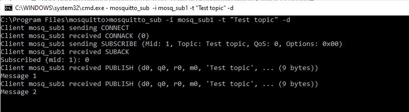 The print of MQTT client being launched with the "Test topic" topic