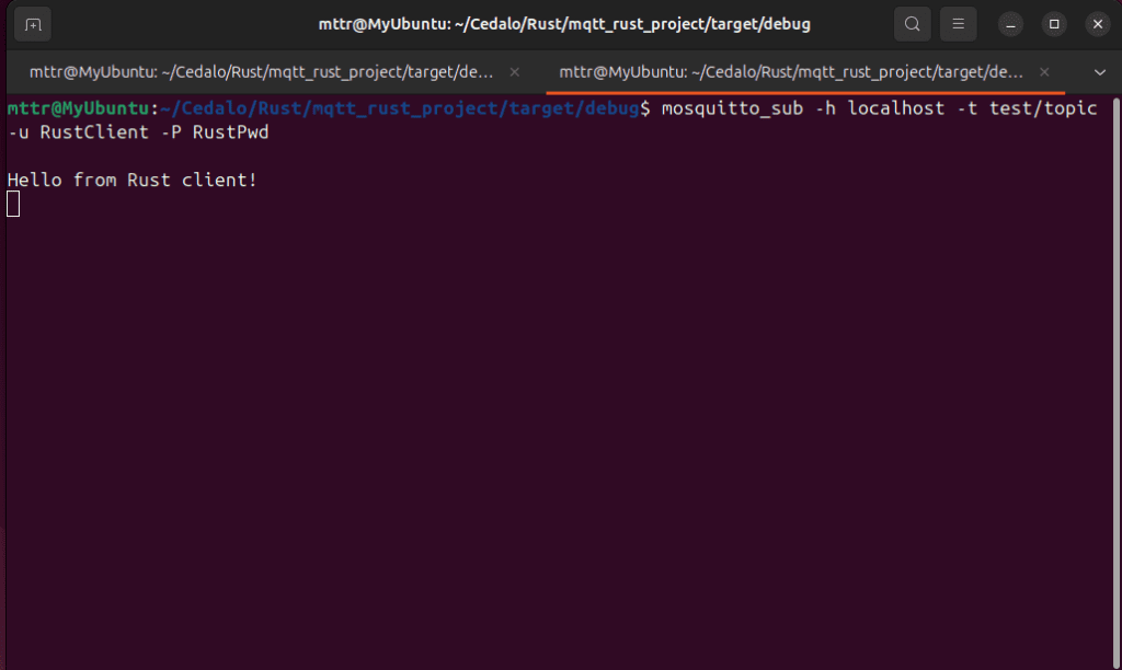 Subscriber's client console receives a message from the Rust application