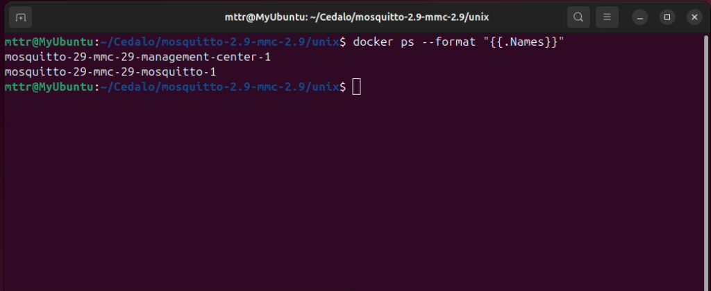 List of running docker containers on your Linux system