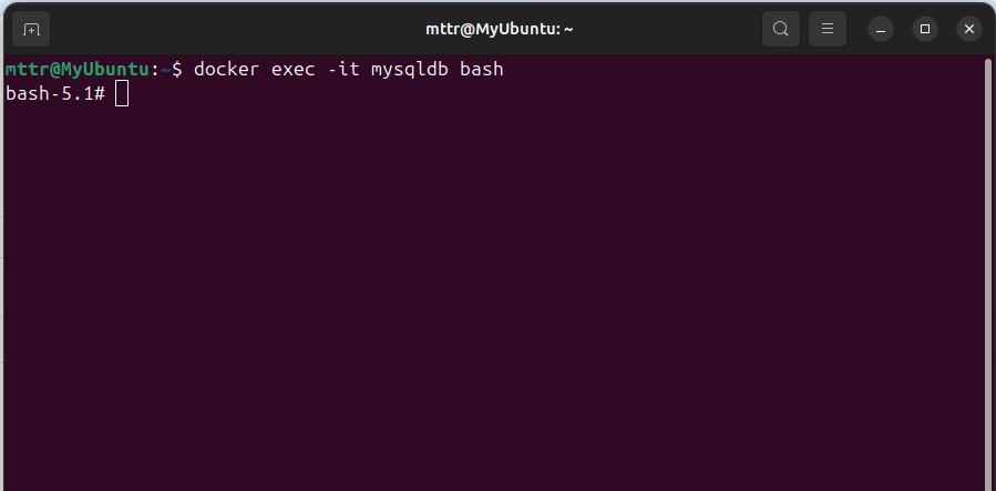 MySQL docker container bash