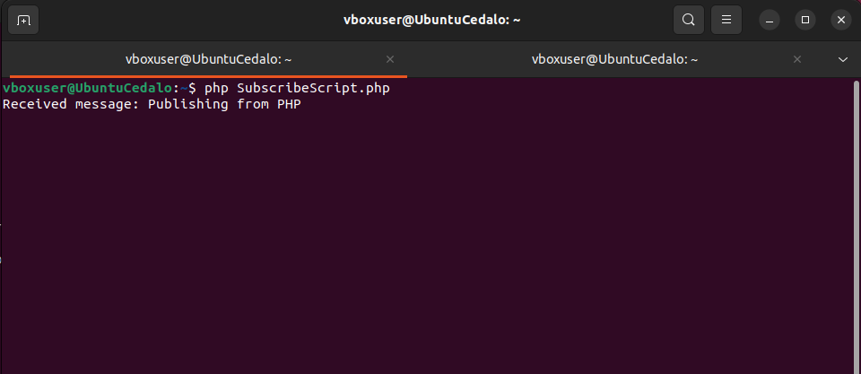 Mosquitto_pub in the Terminal shows that PHP subscriber script receives the message correctly