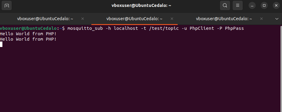 Mosquitto_sub utility in the Terminal shows that PHP script publishes the message correctly