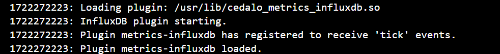Output log for successfully loading the InfluxDB Exporter plugin