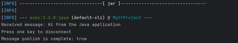 The Java application receives the same message as application logs in the IntelliJ IDE terminal.